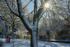 C1-Z72_6196