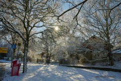 C1-Z72_6198