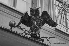 www.fotografie-kraemer.de