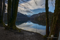 www.fotografie-kraemer.de